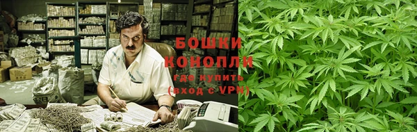 ГАЛЛЮЦИНОГЕННЫЕ ГРИБЫ Нефтегорск