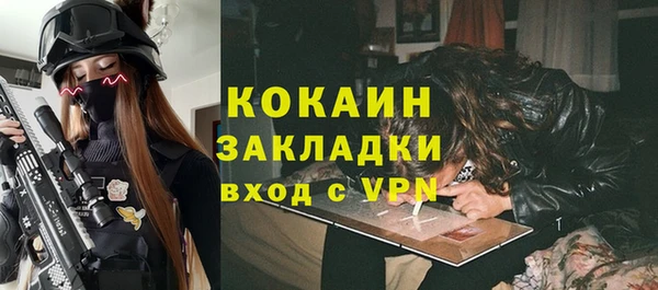 apvp Гусь-Хрустальный