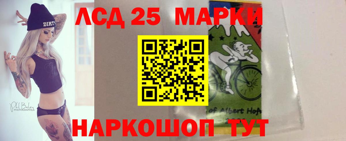 МЕФ Реж
